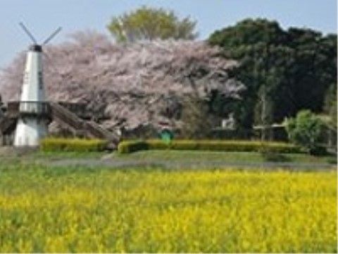 近隣の景観で桜が咲いている。自然が豊かで、ちょっとした散歩や体操も落ち着いた環境で行うことができる。