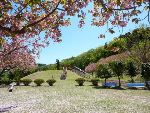 広々とした施設の敷地。森のような木々や、季節の花々がたくさん咲いている。春夏秋冬の季節の移り変わりを身近に感じながら、生活ができる。