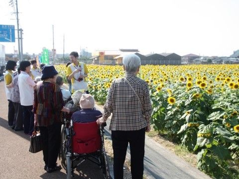 施設で催される、スタッフと一緒に外出して楽しんでいただける様々なイベント