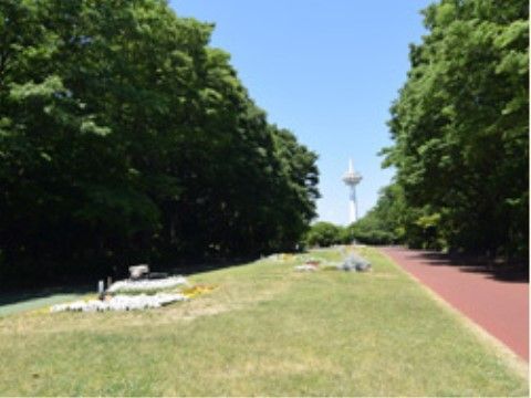 緑豊かな散歩道