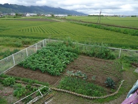 敷地内に家庭菜園をお楽しみいただけるスペースがある。広々としているので、さまざまな野菜を育てていただける。