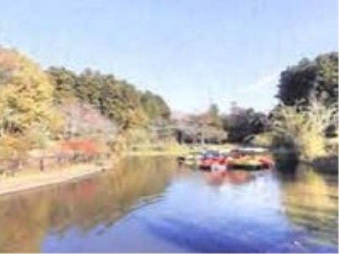 大きな池がありボートが浮かんでいる。とても広さのある公園で、たくさんの桜の木が植えられている。桜の木の他にもさまざまな草花が見られる。