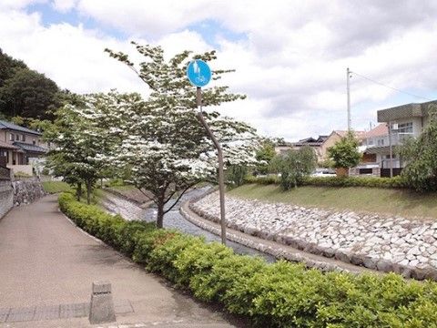 「サービス付高齢者向け住宅 ご隠居長屋 和楽久しらかわ」周辺の風景。∨散歩をお楽しみください。