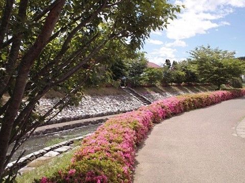 歩道が整備されており、歩道に沿ってツツジが植えられている。歩道から川を眺めることができ、川沿いに行くことが可能。