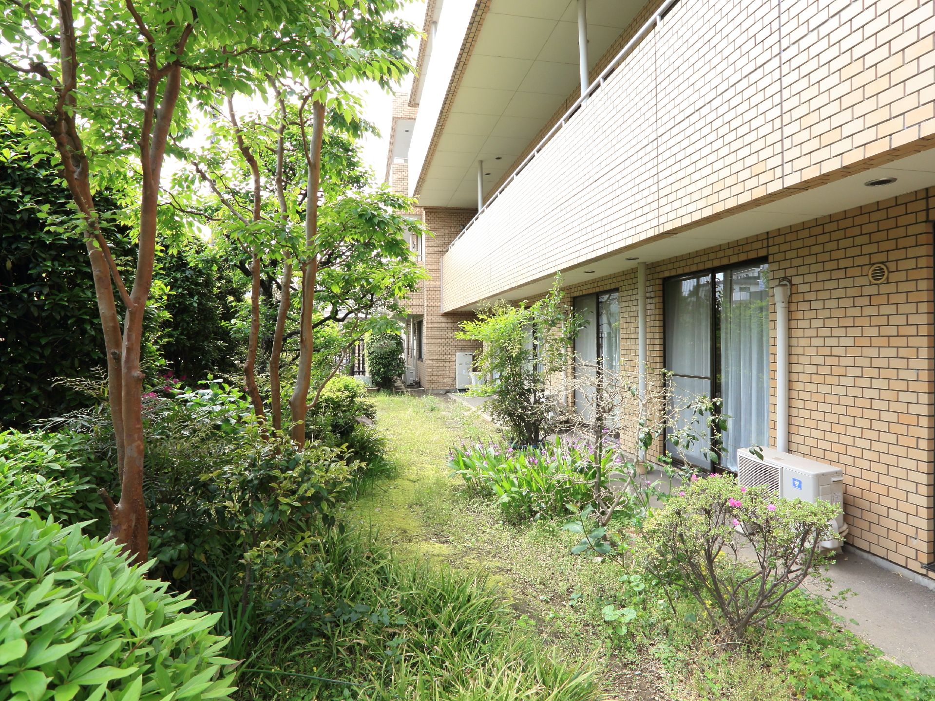 敷地内に作られた自然豊かな庭。木々や花が植えられている。