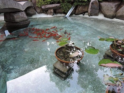 「シルバーシティ 石神井 北館」の中庭。夏場は涼みやすい、水場も用意されている。