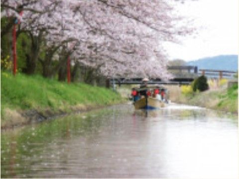 川沿いに桜が咲いており、小舟に乗って花見をしている様子