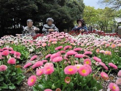 花壇に咲いている色鮮やかな花を眺めている３人の入居者様