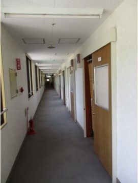廊下は明るく落ち着いた雰囲気になっている。消火器と火災報知器を設置しており、いざという時も安心である。