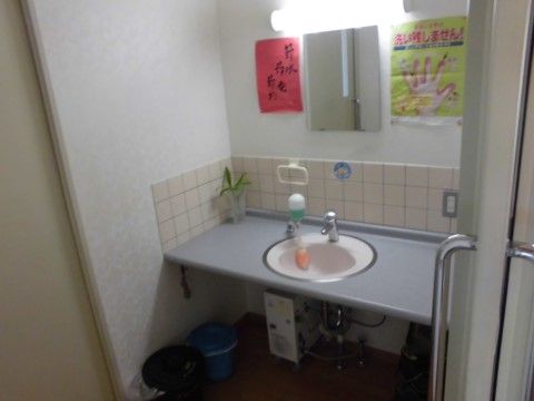 グレーのカウンター中央に白の洗面ボウルがある。カウンターの幅が広くて使いやすく、観葉植物も飾られていて、鏡は大きめである。