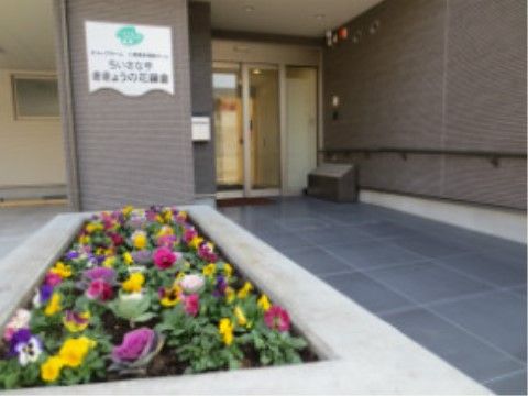 自動ドアの玄関の側には、傘立てがあり多くの傘を置くことができる。玄関から石材の道が整備されており、行き来しやすい。