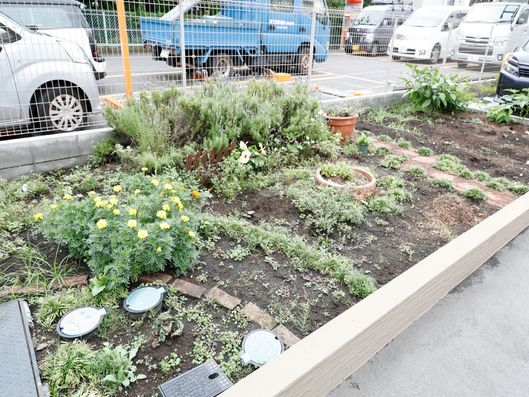 敷地の花壇