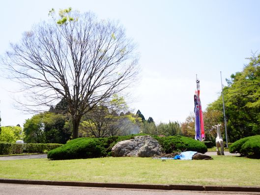 広い中庭と自然