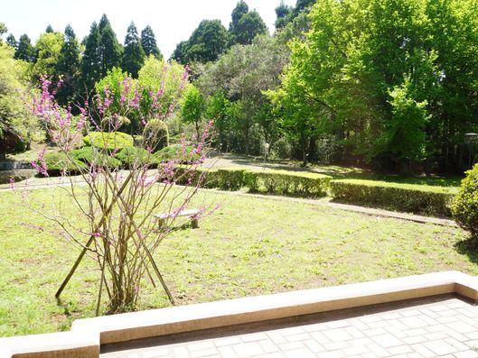 木々に囲まれた中庭