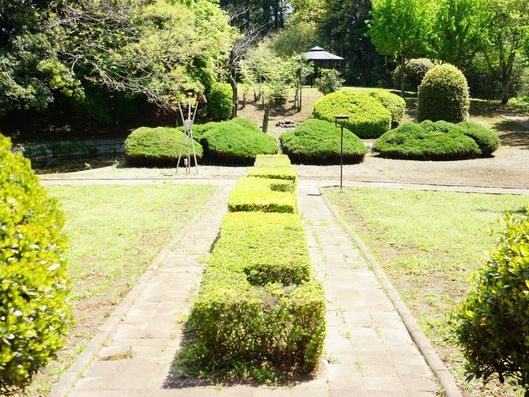 広々とした公園のようなスペース