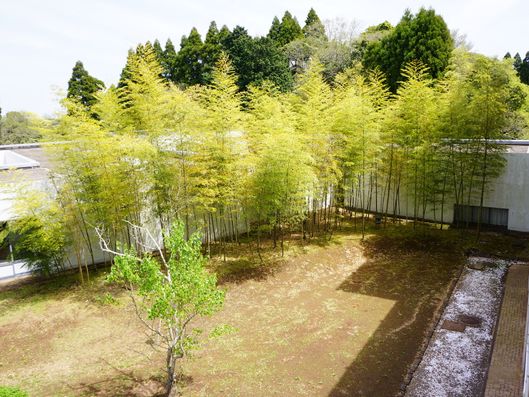 施設の小さな中庭