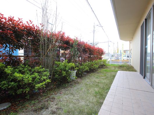 緑地化された庭