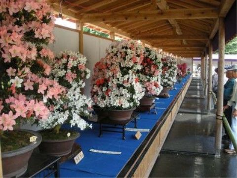 「万葉かぬま」周辺の園芸店