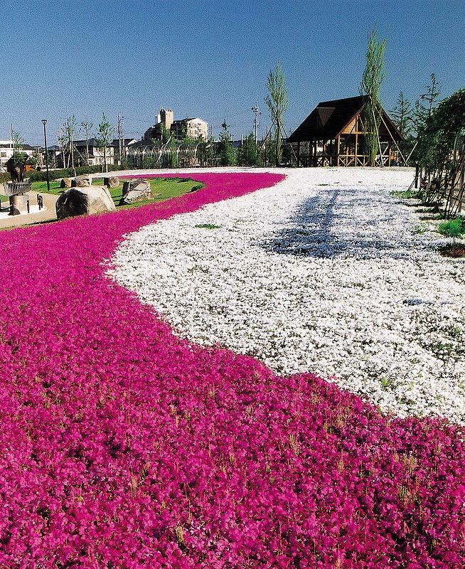介護付有料老人ホーム「博愛ナーシングヴィラ」周辺の公園1