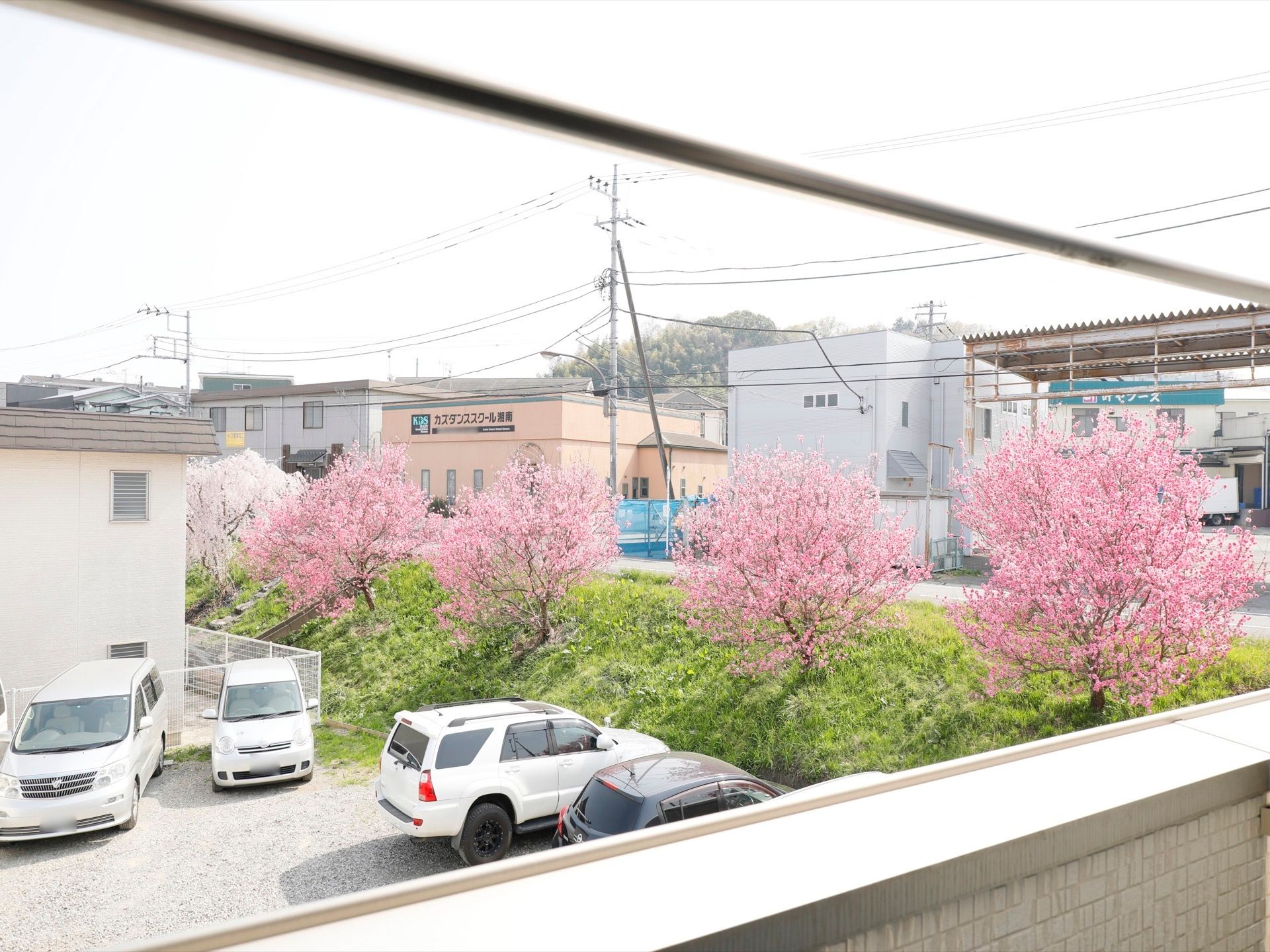 施設から見た様子である。桜の木が並んでおり、春は居室から桜が良く見え、お花見気分を味わえる。前に高い建物もない。