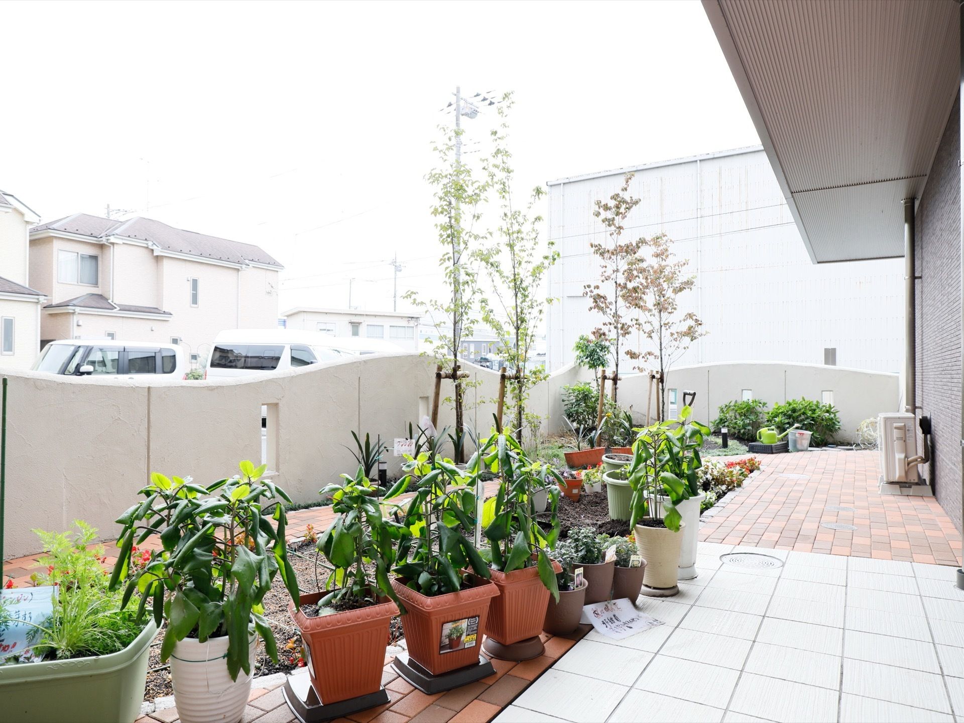 施設には建物の外にテラスを設けている。床はタイル敷きで、様々な植物を植えた鉢やプランターをたくさん並べている。