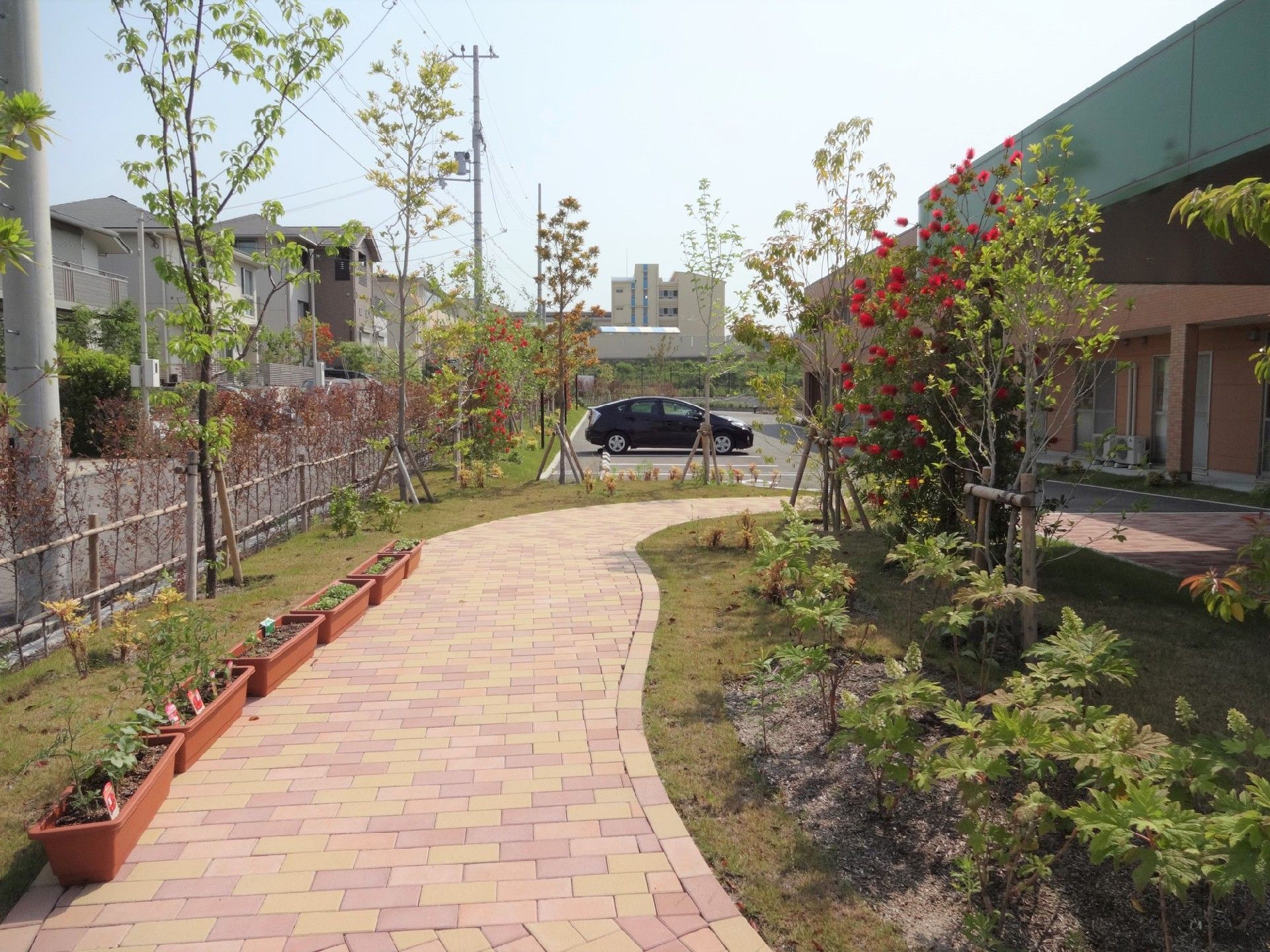 施設玄関前にある、複数の植物が植えてある庭と駐車スペース