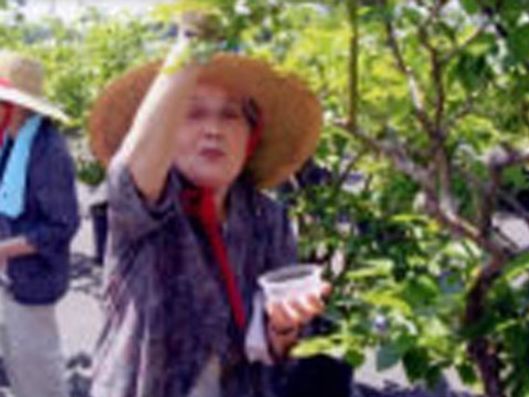 レクリエーション