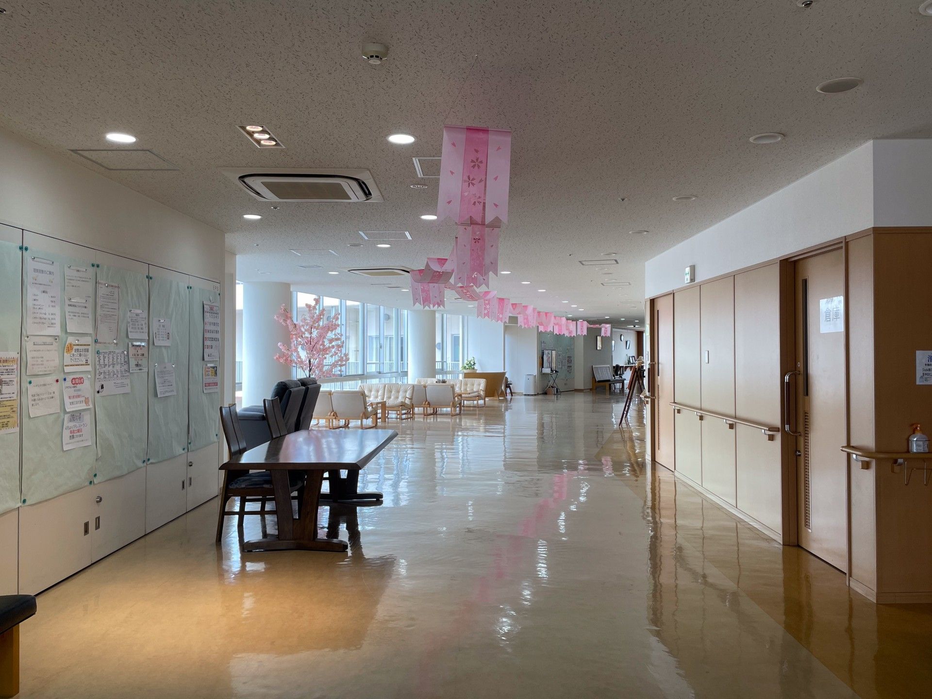 明るい廊下と飾り