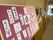 廊下の書道作品展示