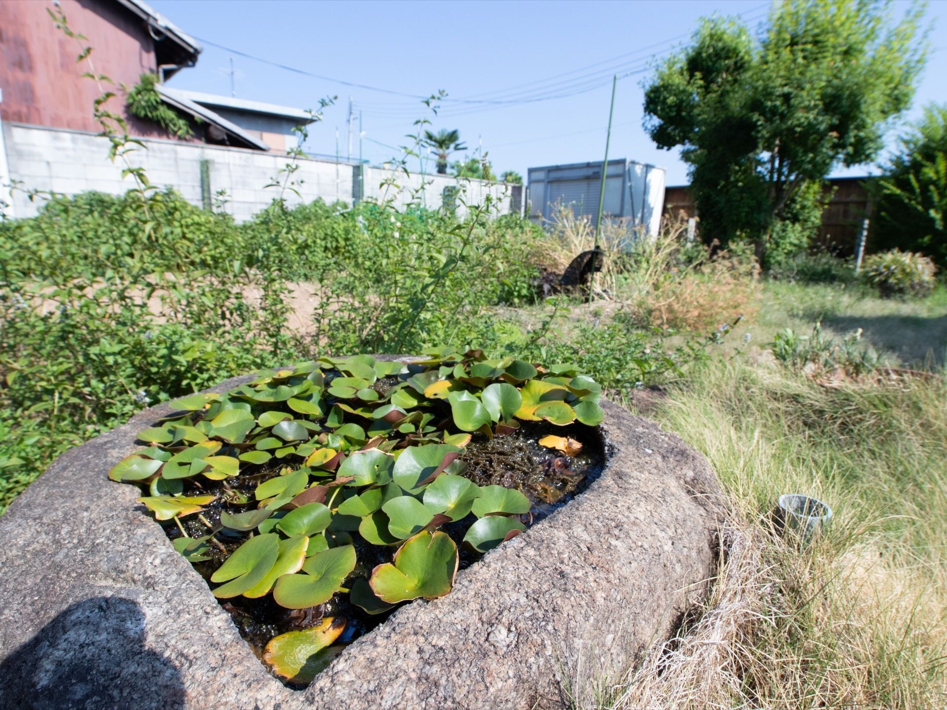 広々とした敷地に木々が生い茂っており、緑があふれている。土や植物を身近に感じながら、穏やかに暮らすことができる。