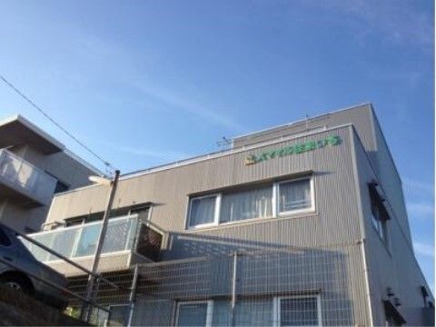 街路樹の下を散歩する車椅子に乗った高齢女性と介助をする女性ヘルパー