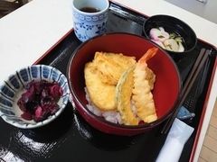 海老や野菜の入った天丼のセット