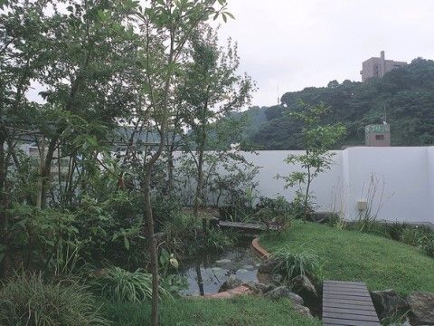 「ウィステリア新上橋」の屋上ビオトーブ。安らぎの空間を与えるビオトープは、自然を堪能できる。