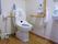 トイレに座ると、左手側の壁には立ち居するのに便利なL字型の手すりが、右手側にはひじ掛けとしても使用できる手すりが付いている。