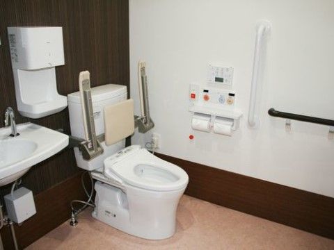 トイレには、蓋を外し、背もたれと肘掛がセットになった器具を設置している。便座に座る時に安定感が出る。