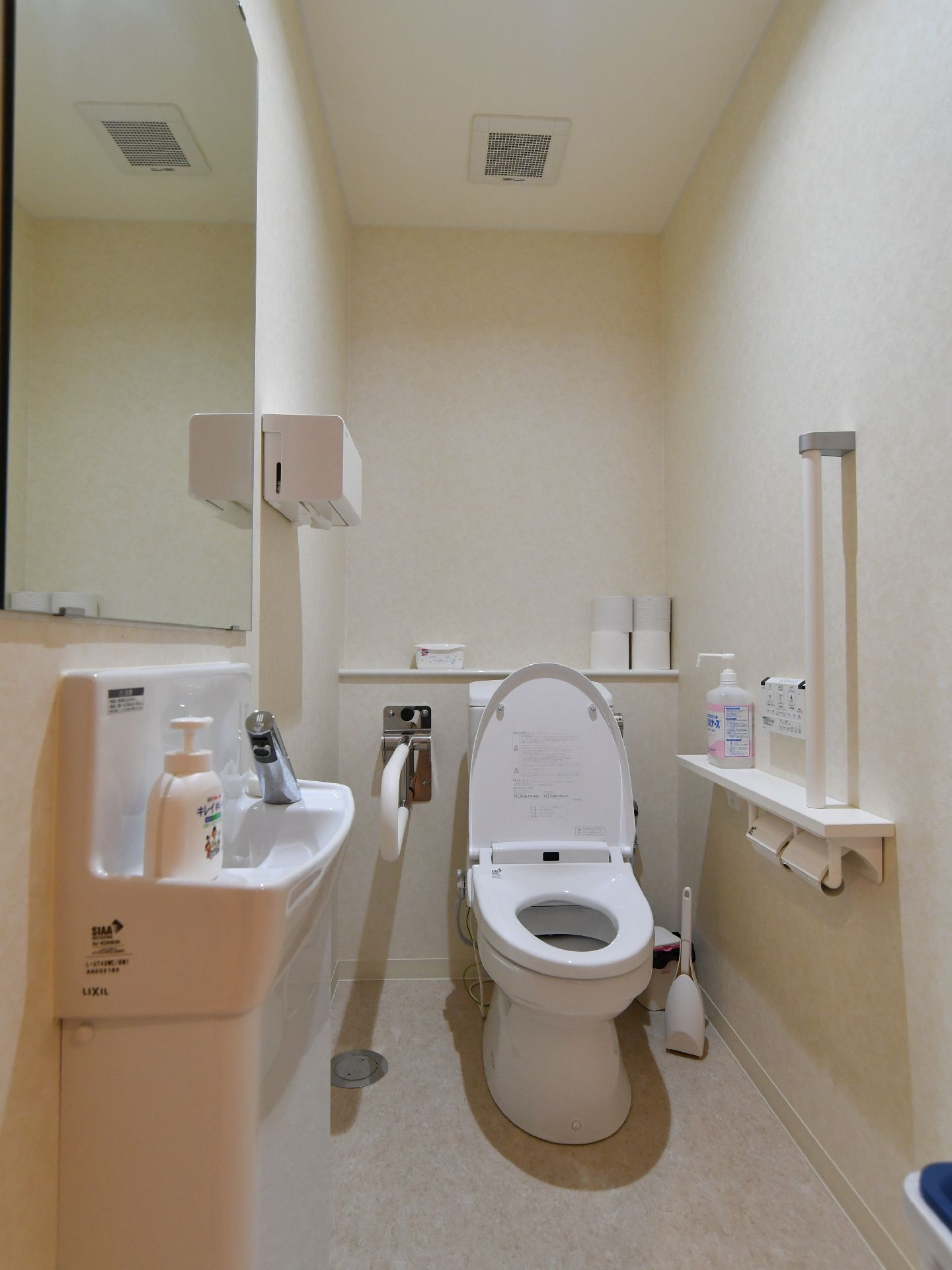 奥に便器があり、便器の近くに手摺がある。手前には手を洗うスペースがあり、石鹸とペーパータオルが用意されている。