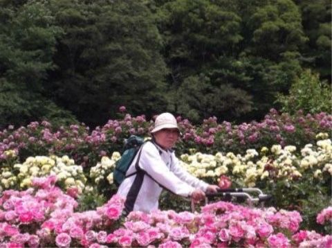 外出行事でたくさんのバラに囲まれる笑顔の女性の写真