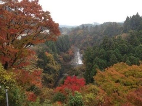 「介護付き有料老人ホーム 陽だまりの里」の周辺環境１。秋の季節になると、紅葉が見頃を迎える。