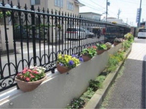 「介護付有料老人ホーム ウェル静岡」のお庭の花。施設の周りには、お花が植えられて心を和ませる。