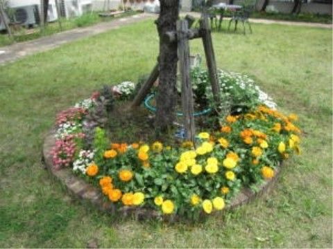 「介護付有料老人ホーム ウェル静岡」のお庭の花。木の周りにもお花が植えられ、自然の豊かさを感じられる。