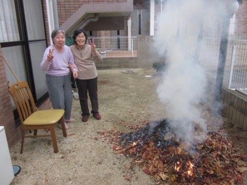 枯葉を集め焚火をする高齢女性