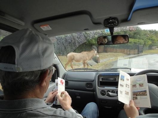 外出レクリエーション