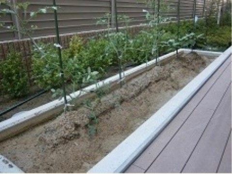 「そんぽの家 西中島」菜園コーナーを、敷地にはご用意しております。