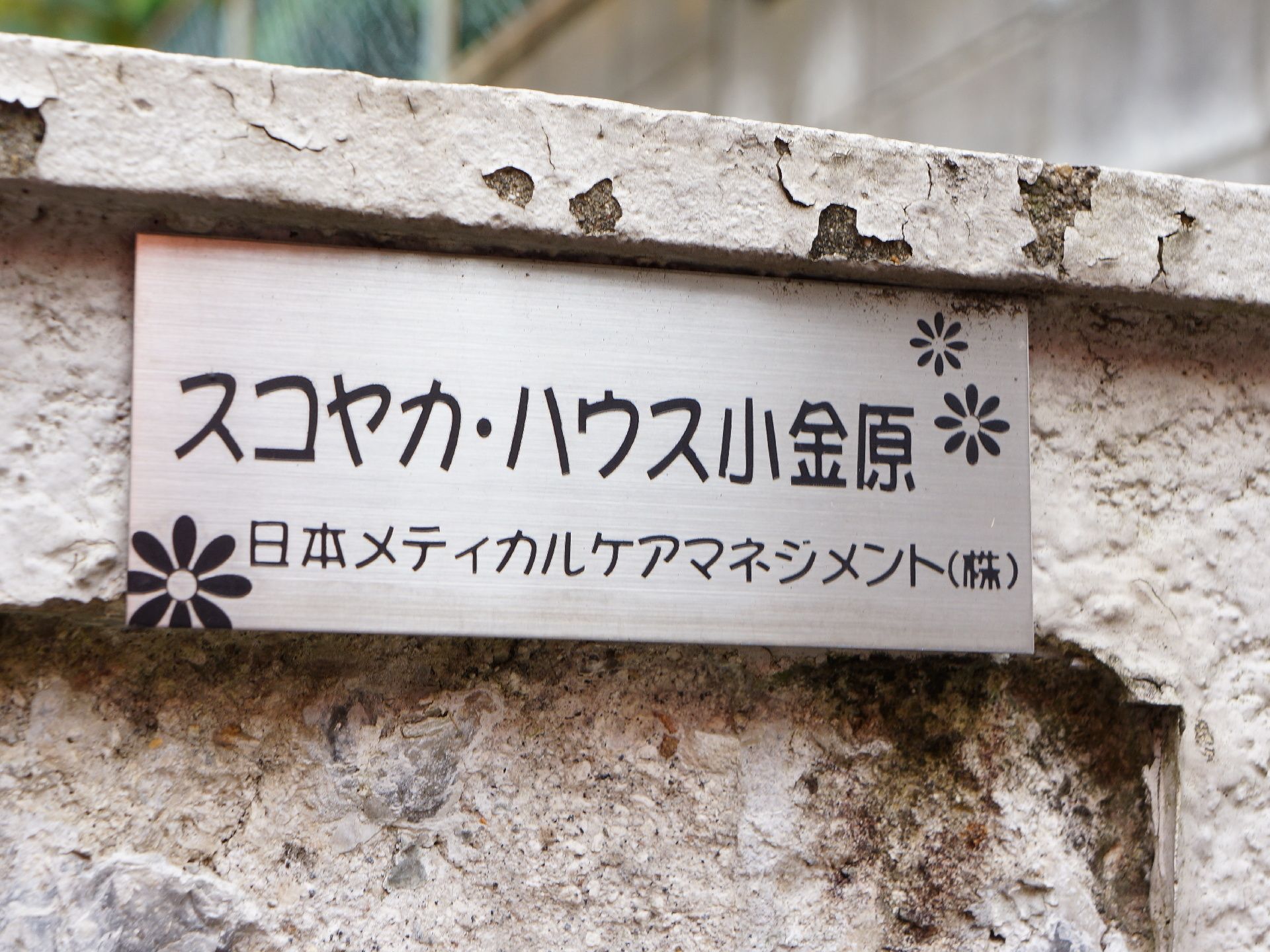 「スコヤカ・ハウス小金原」入居者様と看護士の風景