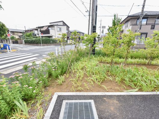 草木が植えてある