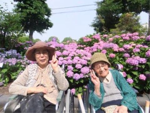 青空の下で色鮮やかなアジサイの前で微笑みながらピースサインをする女性二人