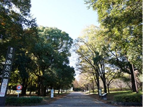 「アイリスガーデン用賀」の周辺。自然豊富な公園があります。