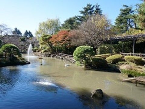 「アイリスガーデン用賀」の周辺。日本庭園が美しい。