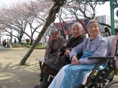入居者様が花見に出かけている。外出するレクリエーションも用意されており、飽きのこない内容となっている。