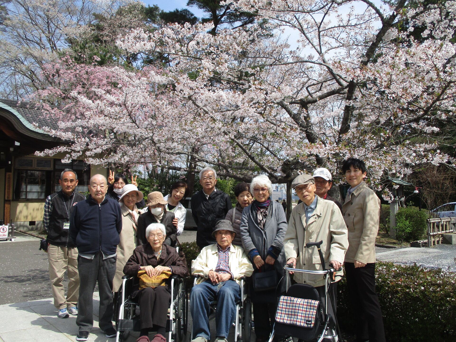 花見を楽しむ高齢者